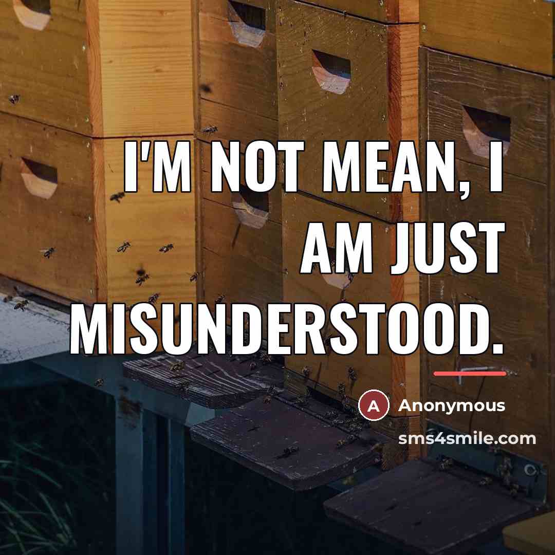 “I'm not mean, I am just misunderstood.…” quote by Anonymous