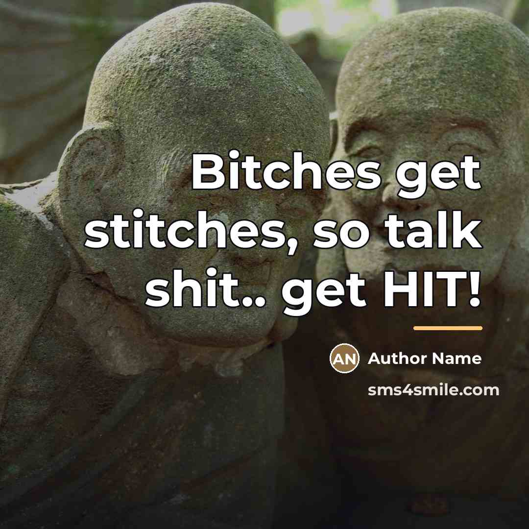 “Bitches get stitches, so talk shit.. get HIT!…” quote by Author Name