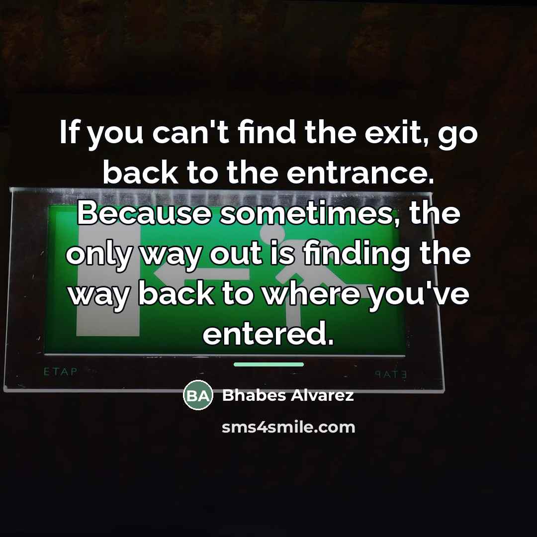 “If you can't find the exit, go back to the…” quote by Bhabes Alvarez