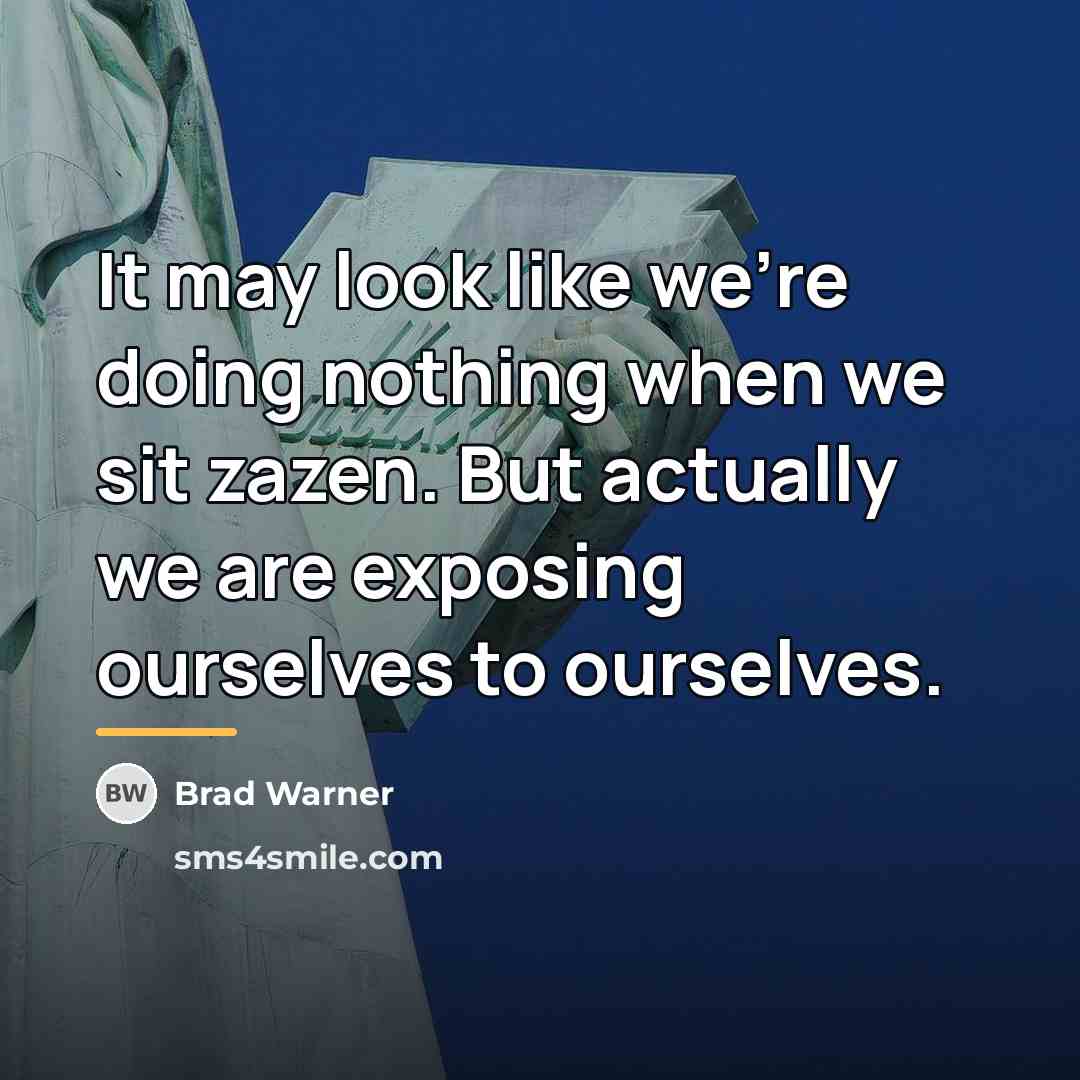 “It may look like we're doing nothing when we sit…” quote by Brad Warner