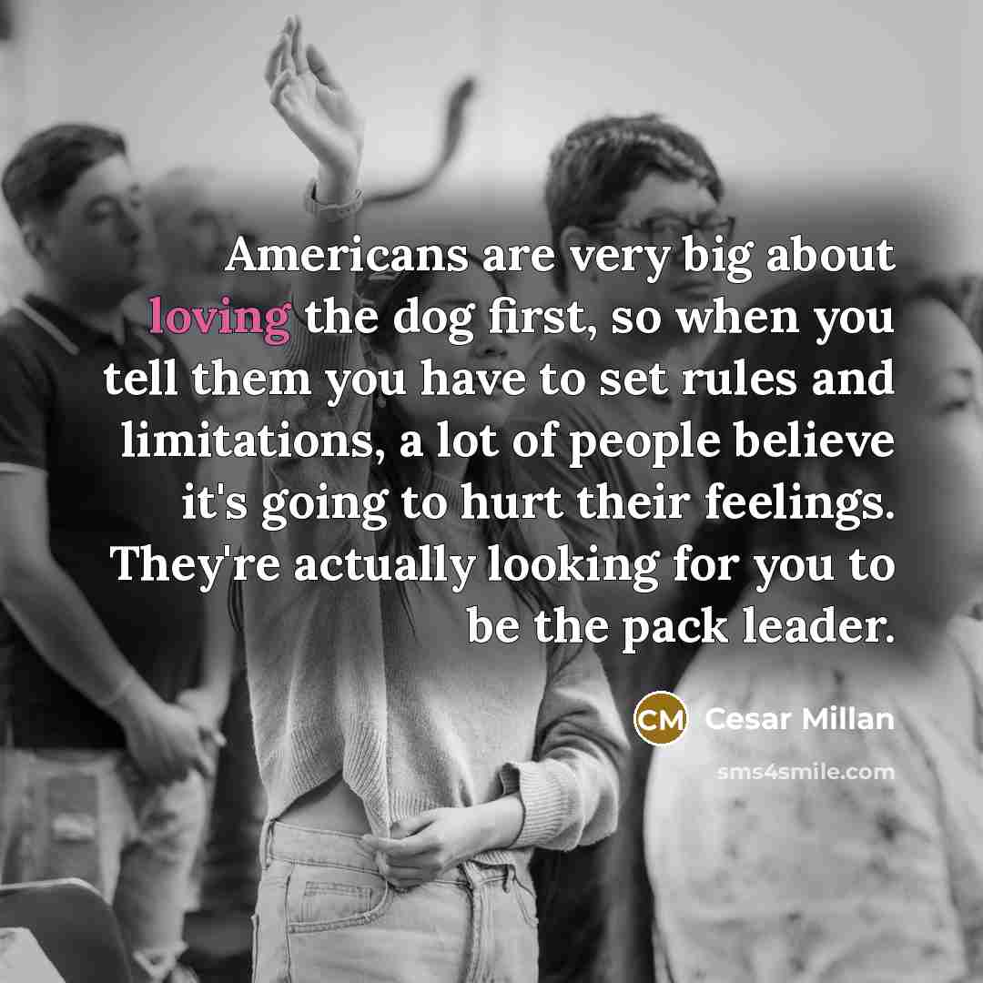“Americans are very big about loving the dog first, so…” quote by Cesar Millan