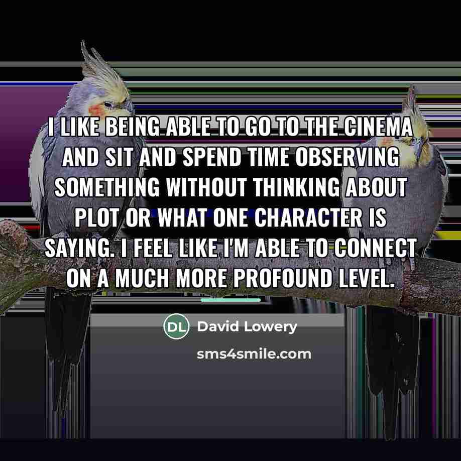 “I like being able to go to the cinema and…” quote by David Lowery
