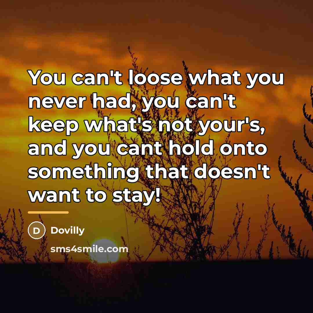 “You can't loose what you never had, you can't keep…” quote by Dovilly