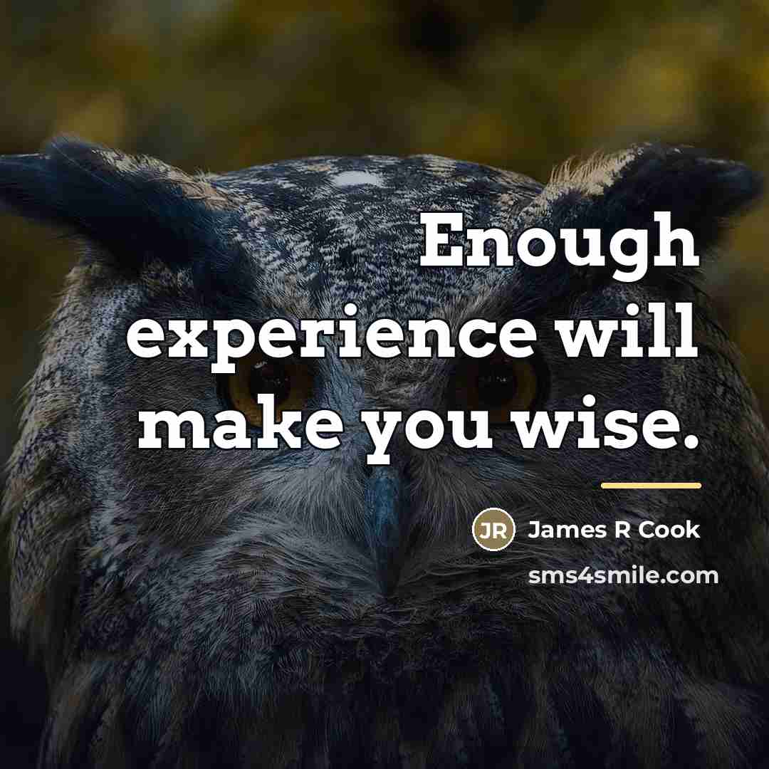 “Enough experience will make you wise.…” quote by James R Cook