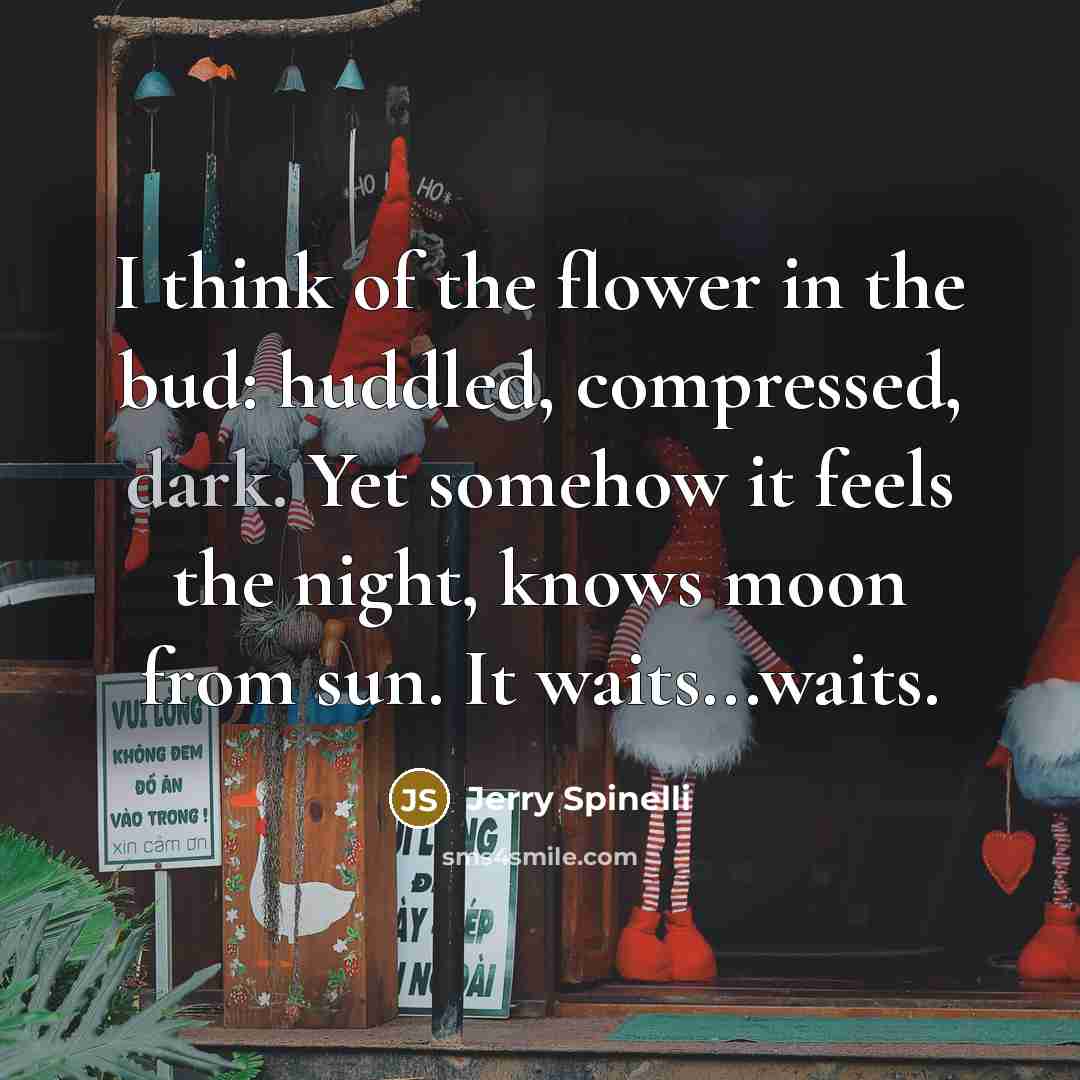 “I think of the flower in the bud: huddled, compressed,…” quote by Jerry Spinelli