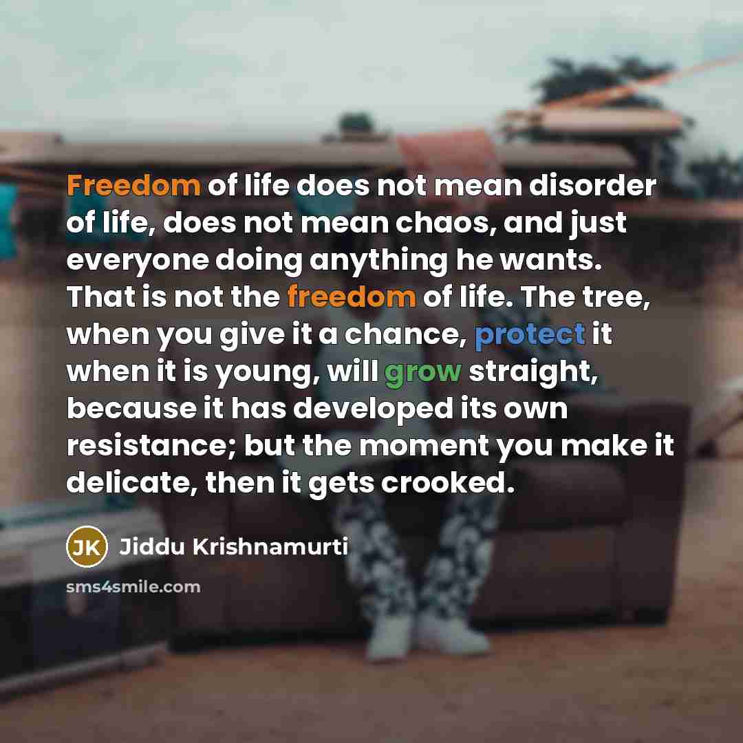 “Freedom of life does not mean disorder of life, does…” quote by Jiddu Krishnamurti