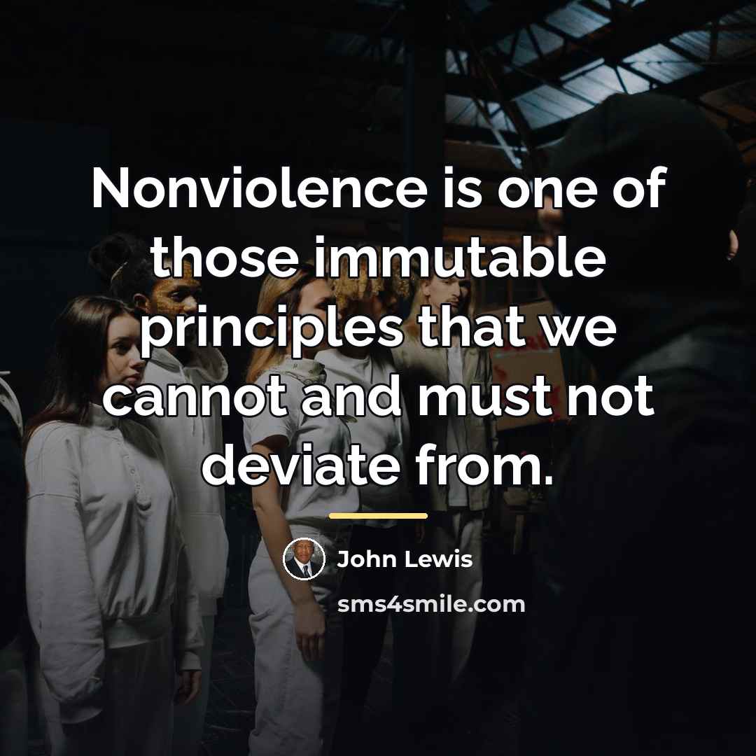 “Nonviolence is one of those immutable principles that we cannot…” quote by John Lewis