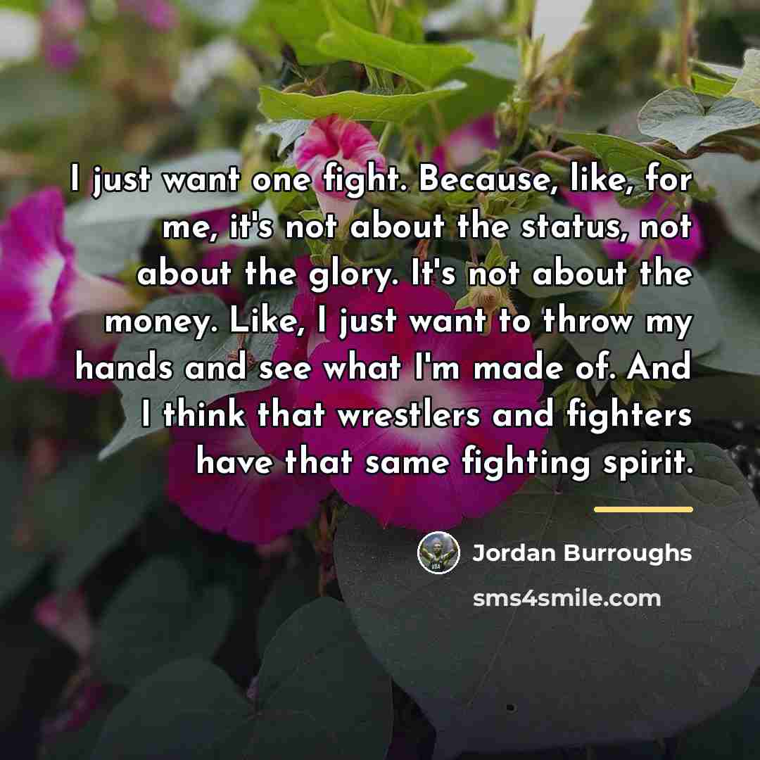 “I just want one fight. Because, like, for me, it's…” quote by Jordan Burroughs