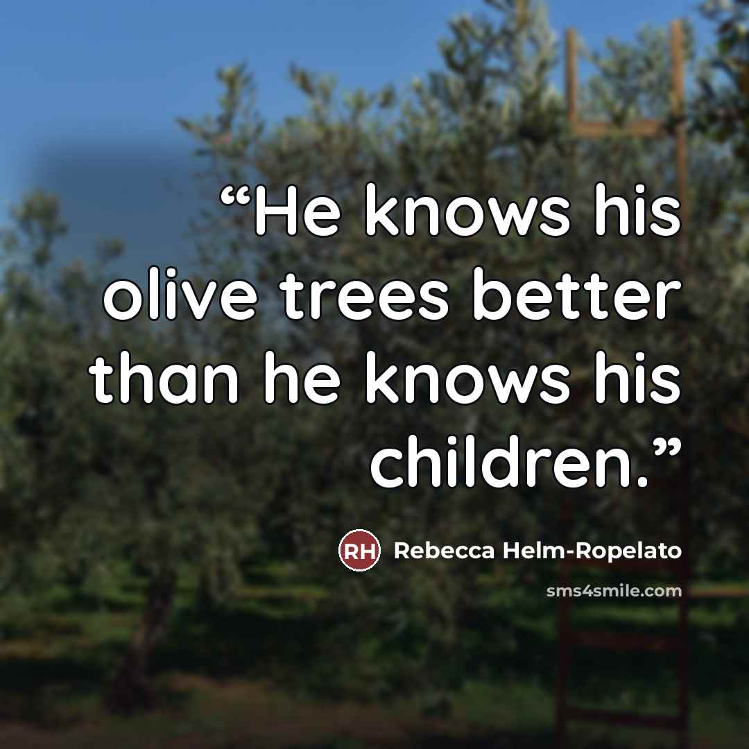 “He knows his olive trees better than he knows his children.” quote by Rebecca Helm-Ropelato