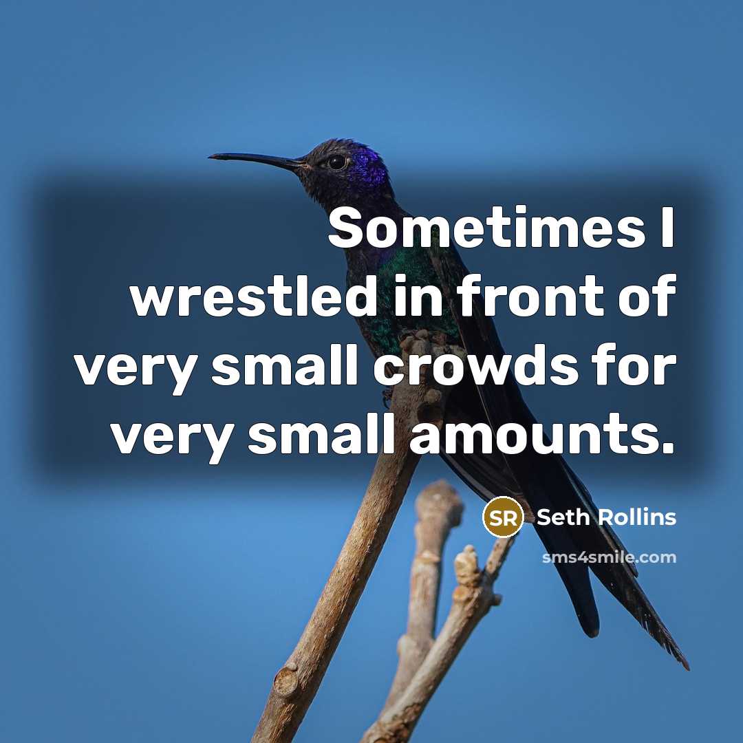“Sometimes I wrestled in front of very small crowds for…” quote by Seth Rollins