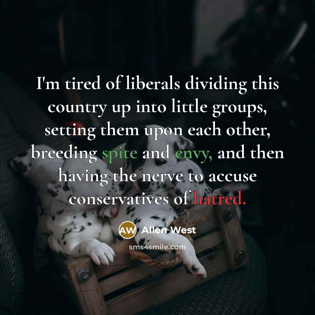 “I'm tired of liberals dividing this country up into little…” quote by Allen West