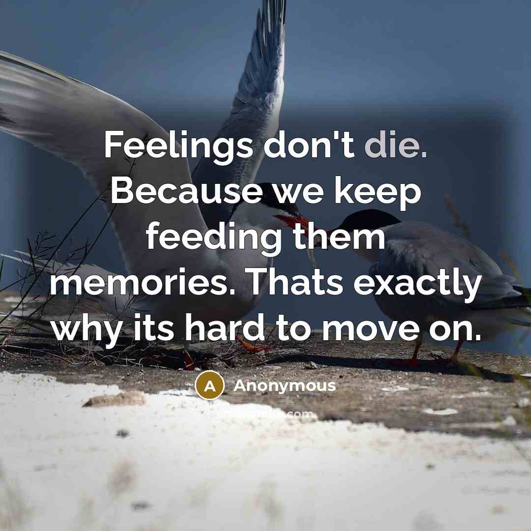 “Feelings don't die. Because we keep feeding them memories. Thats exactly why its hard to move on.” quote by Anonymous