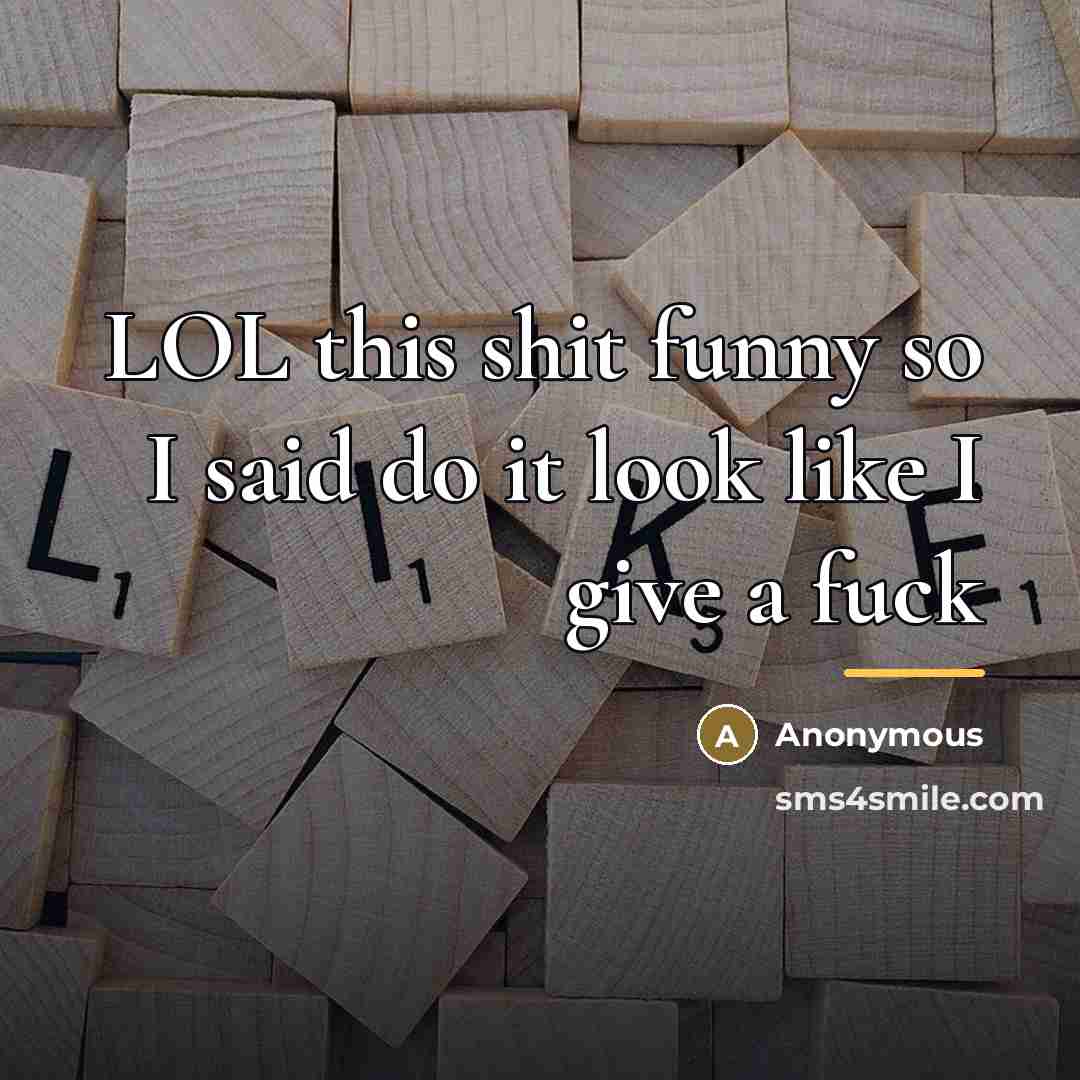 “LOL this shit funny so I said do it look…” quote by Anonymous