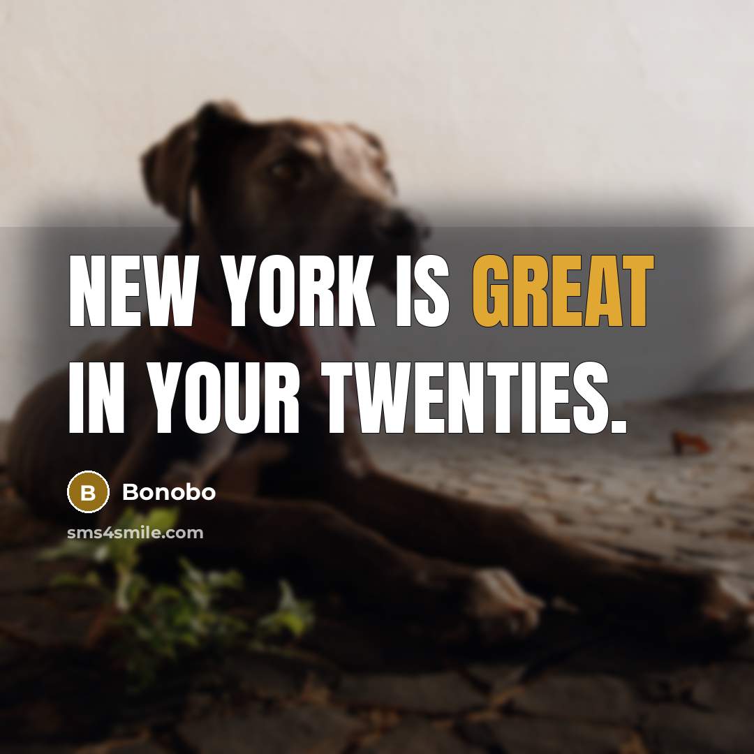“New York is great in your twenties.…” quote by Bonobo