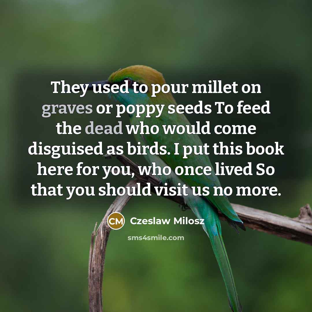 “They used to pour millet on graves or poppy seeds…” quote by Czeslaw Milosz