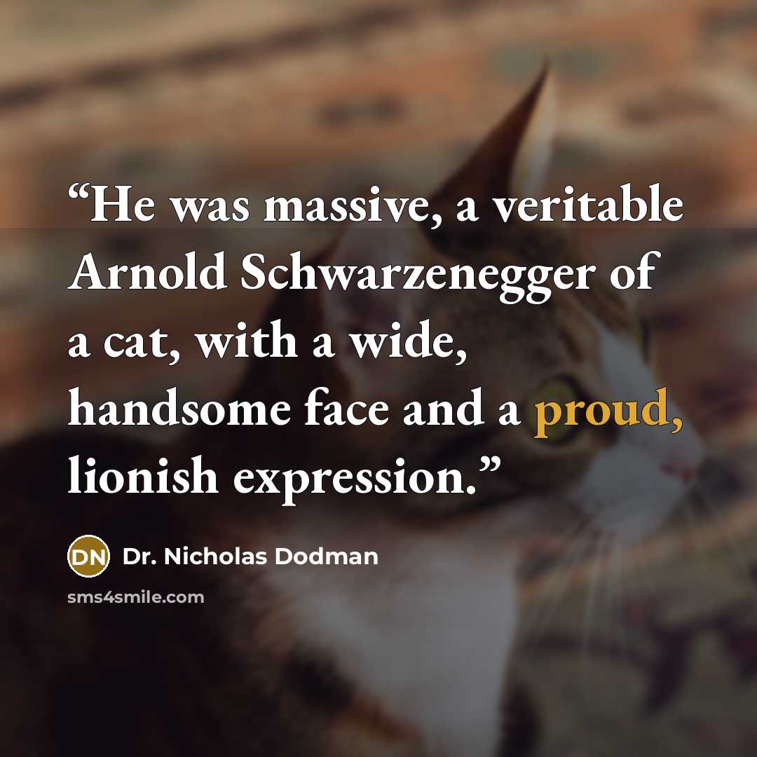 “He was massive, a veritable Arnold Schwarzenegger of a cat, with a wide, handsome face and a proud, lionish expression.” quote by Dr. Nicholas Dodman