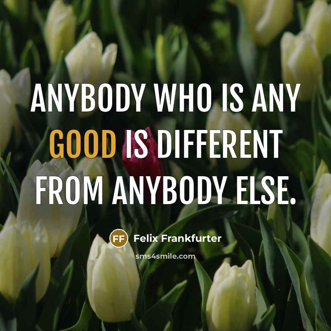“Anybody who is any good is different from anybody else.…” quote by Felix Frankfurter