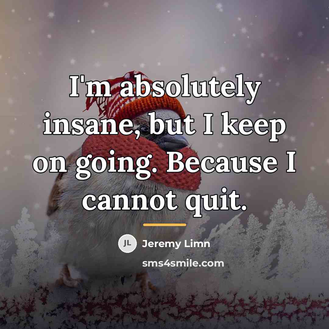 “I'm absolutely insane, but I keep on going. Because I…” quote by Jeremy Limn