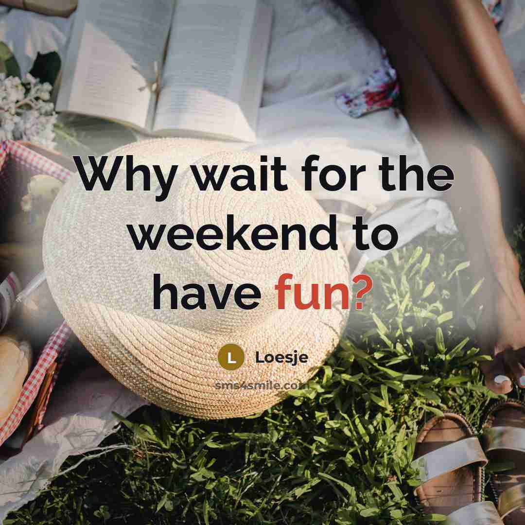 “Why wait for the weekend to have fun?…” quote by Loesje