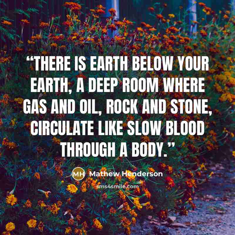 “There is earth below your earth, a deep room where gas and oil, rock and stone, circulate like slow blood through a body.” quote by Mathew Henderson