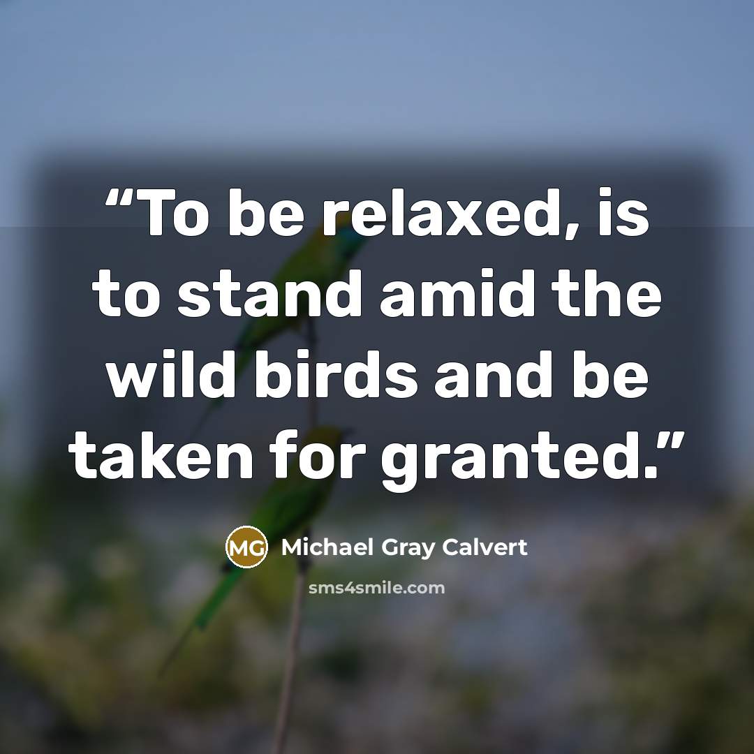 “To be relaxed, is to stand amid the wild birds and be taken for granted.” quote by Michael Gray Calvert