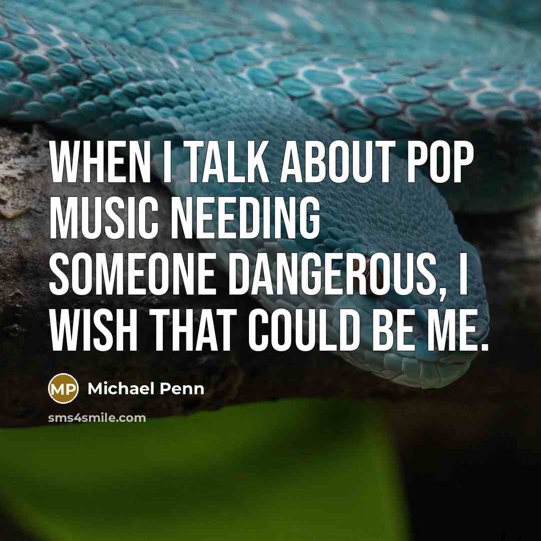 “When I talk about pop music needing someone dangerous, I…” quote by Michael Penn