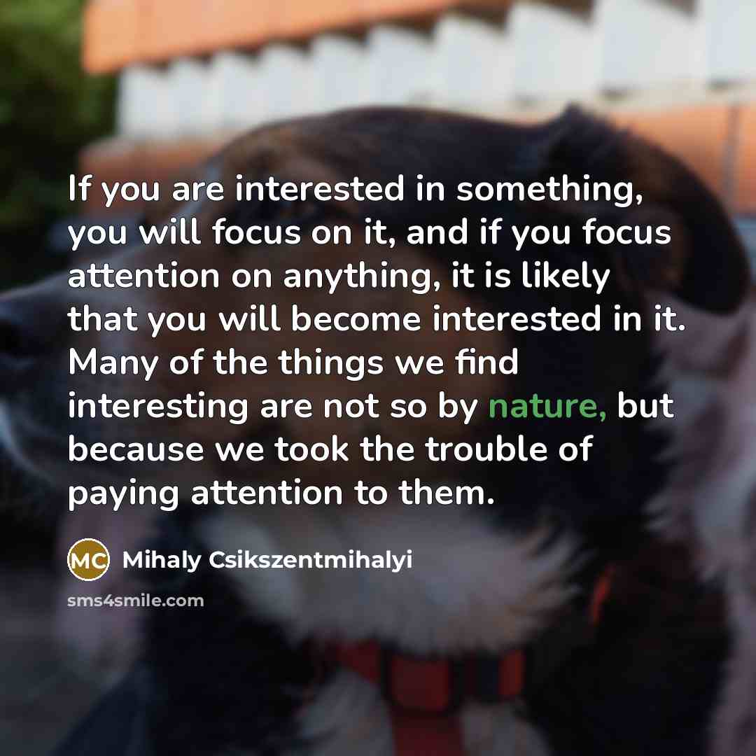 “If you are interested in something, you will focus on…” quote by Mihaly Csikszentmihalyi