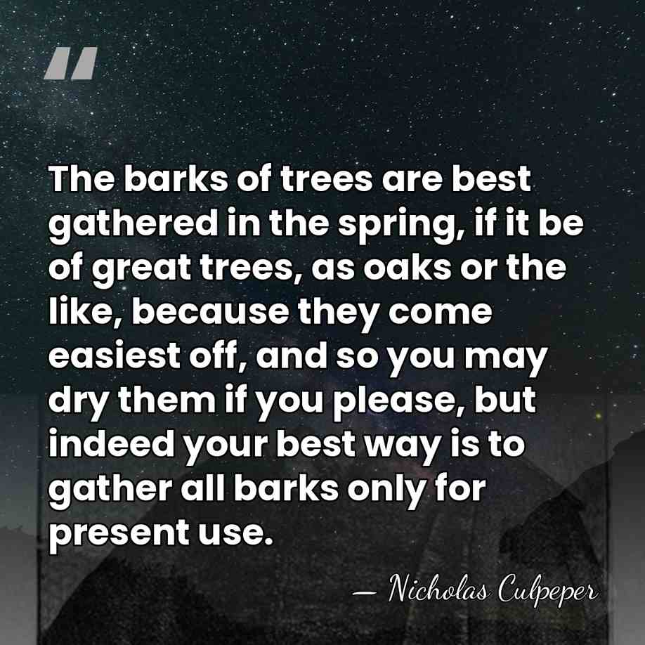 The barks of trees are best gathered in the spring, if it&hellip; - Nicholas Culpeper