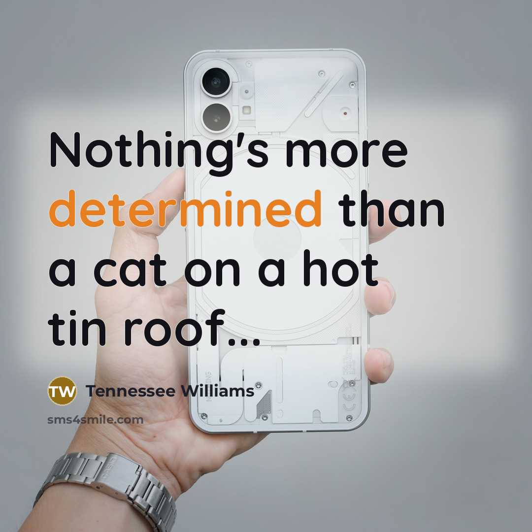 “Nothing's more determined than a cat on a hot tin…” quote by Tennessee Williams