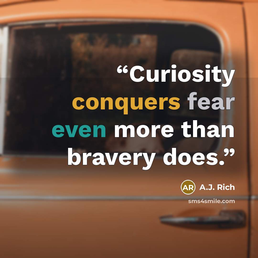 “Curiosity conquers fear even more than bravery does.” quote by A.J. Rich