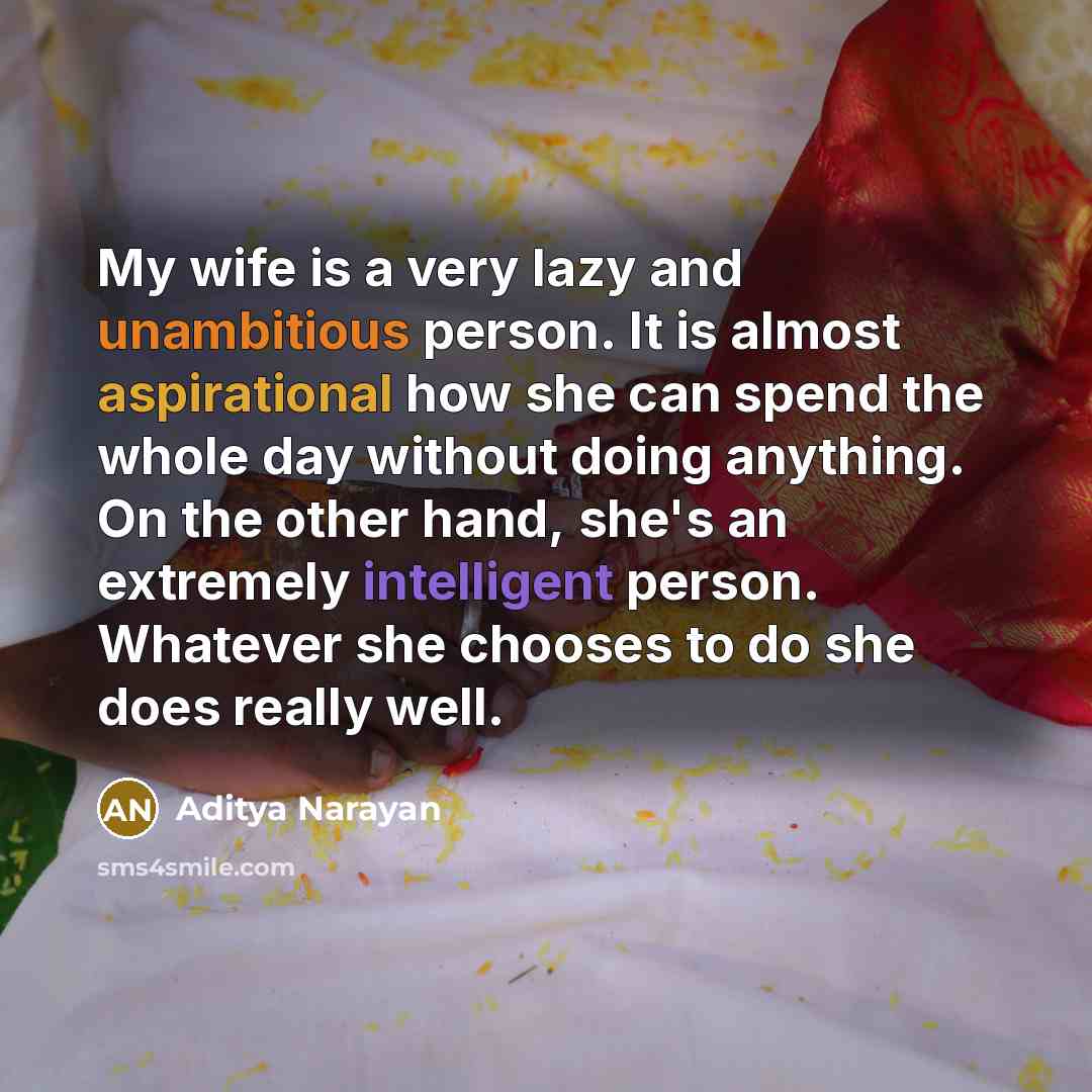 “My wife is a very lazy and unambitious person. It…” quote by Aditya Narayan
