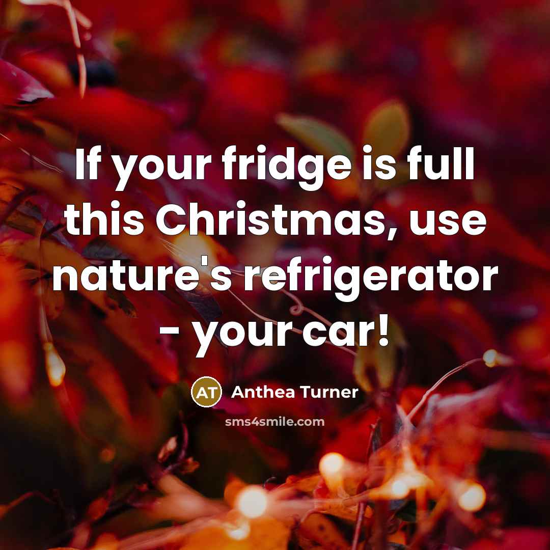 “If your fridge is full this Christmas, use nature's refrigerator…” quote by Anthea Turner