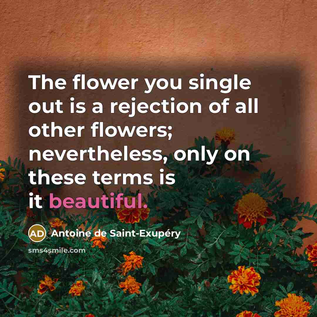 “The flower you single out is a rejection of all…” quote by Antoine de Saint-Exupery