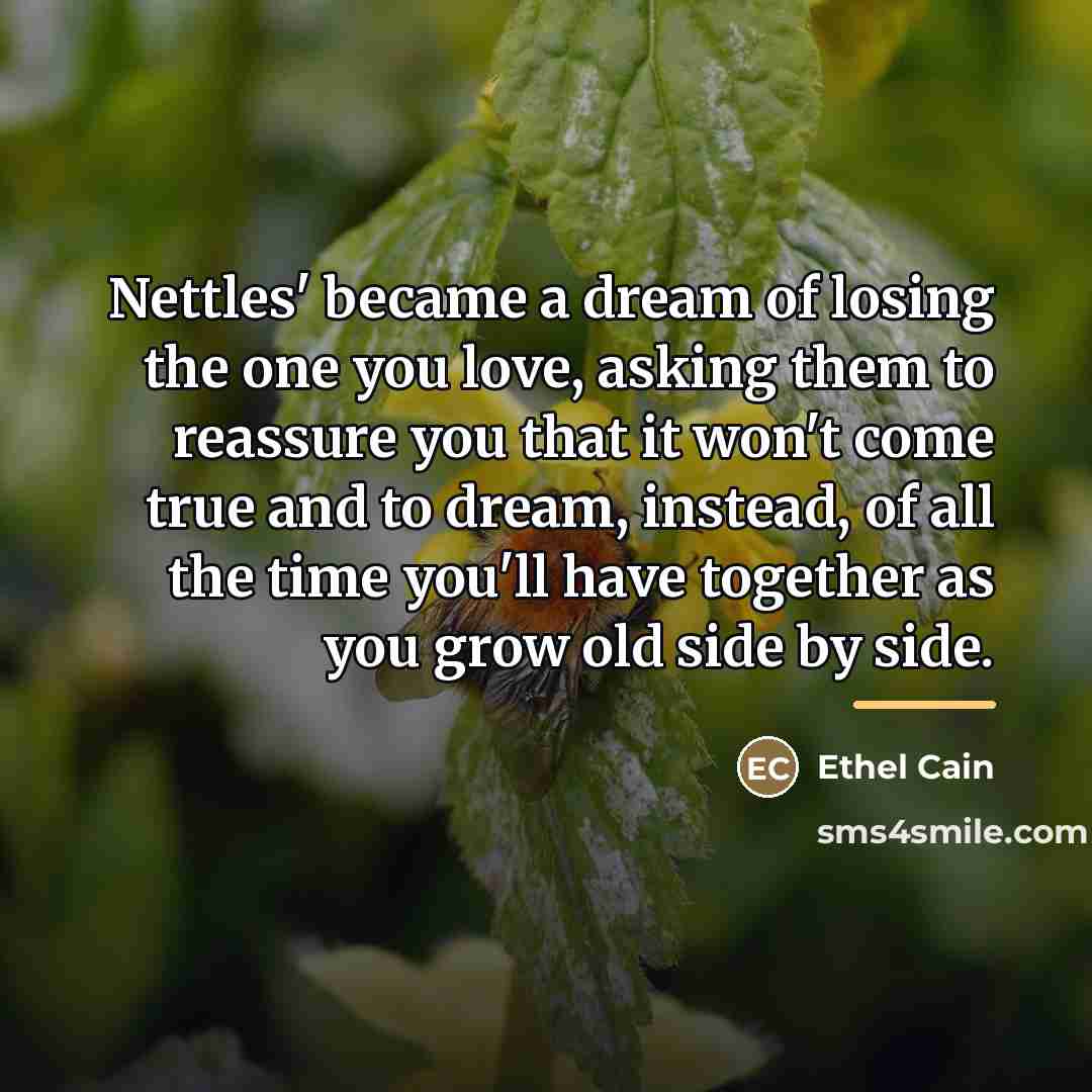 “Nettles' became a dream of losing the one you love,…” quote by Ethel Cain