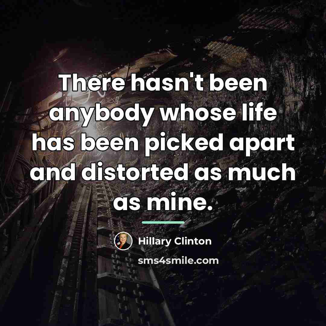 “There hasn't been anybody whose life has been picked apart…” quote by Hillary Clinton