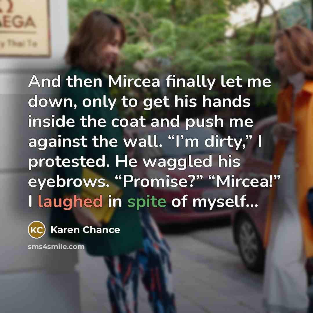 “And then Mircea finally let me down, only to get…” quote by Karen Chance