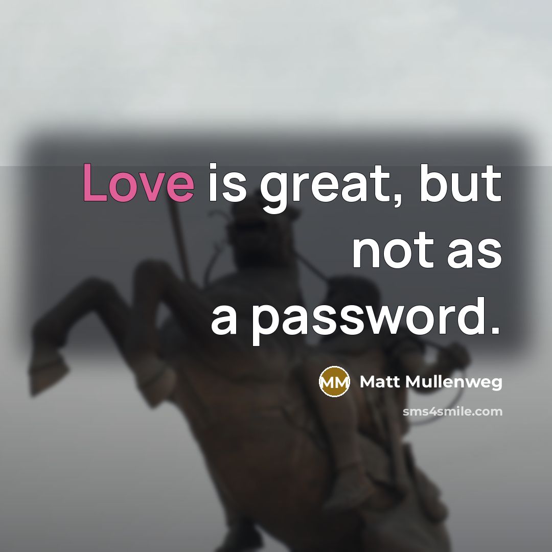 “Love is great, but not as a password.…” quote by Matt Mullenweg