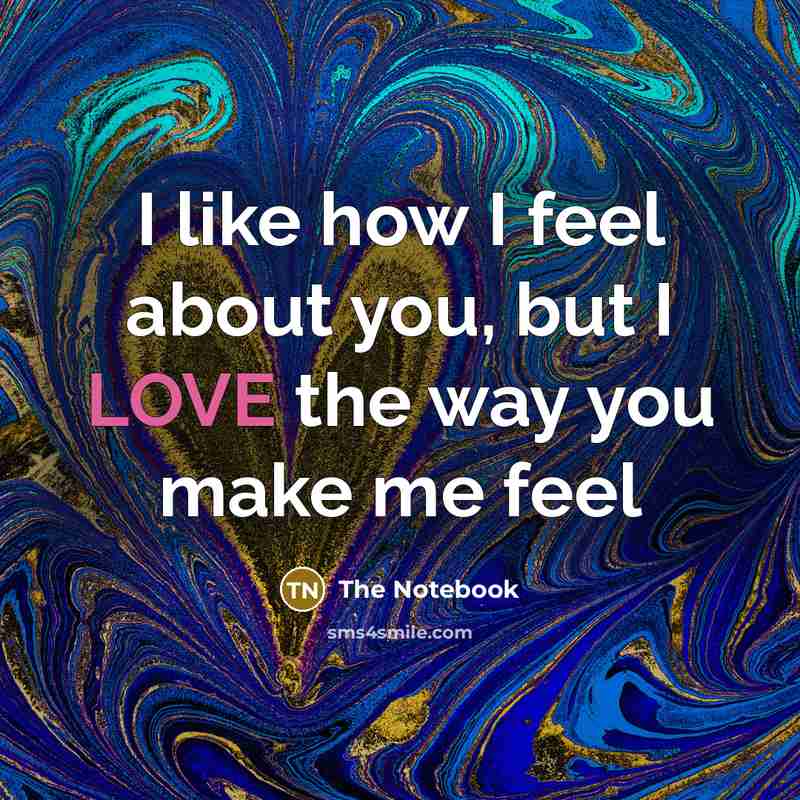 “I like how I feel about you, but I LOVE…” quote by The Notebook