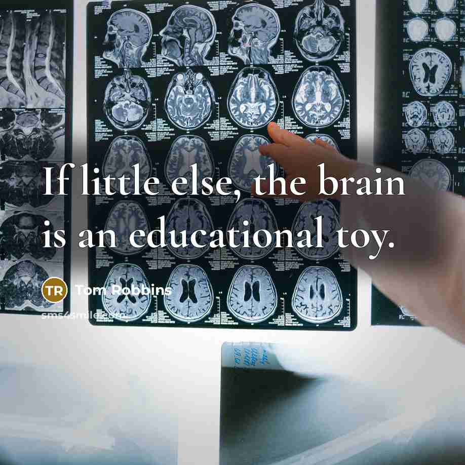 “If little else, the brain is an educational toy.…” quote by Tom Robbins