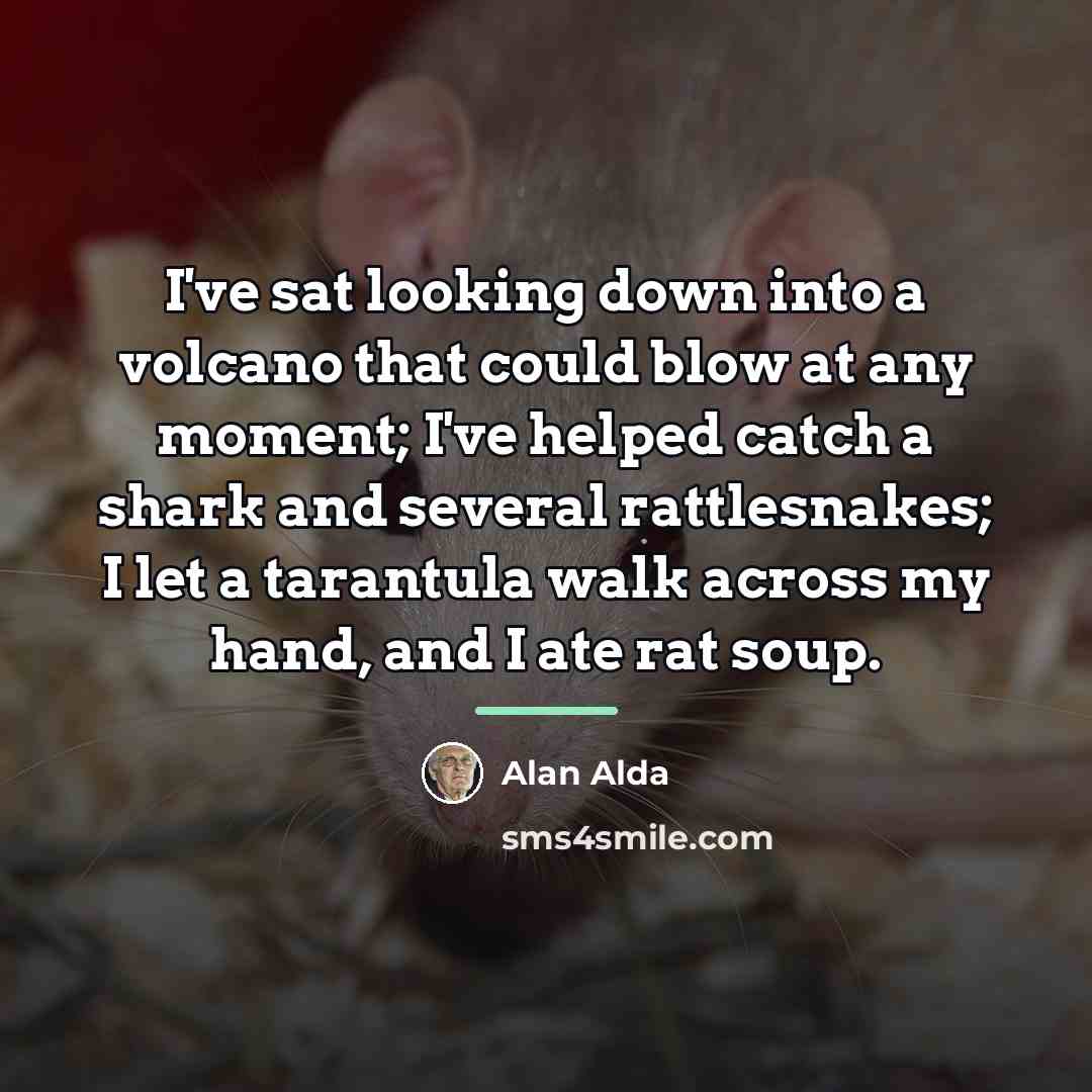 “I've sat looking down into a volcano that could blow…” quote by Alan Alda