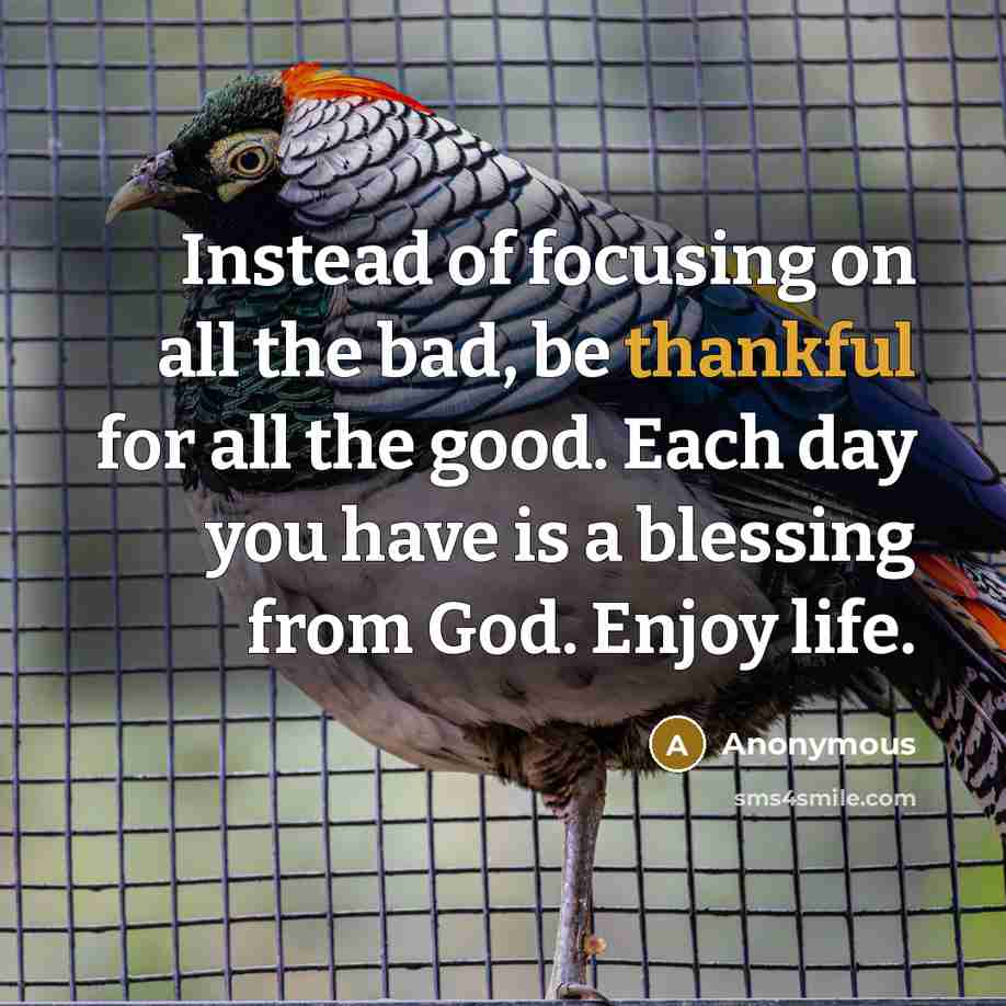 “Instead of focusing on all the bad, be thankful for…” quote by Anonymous