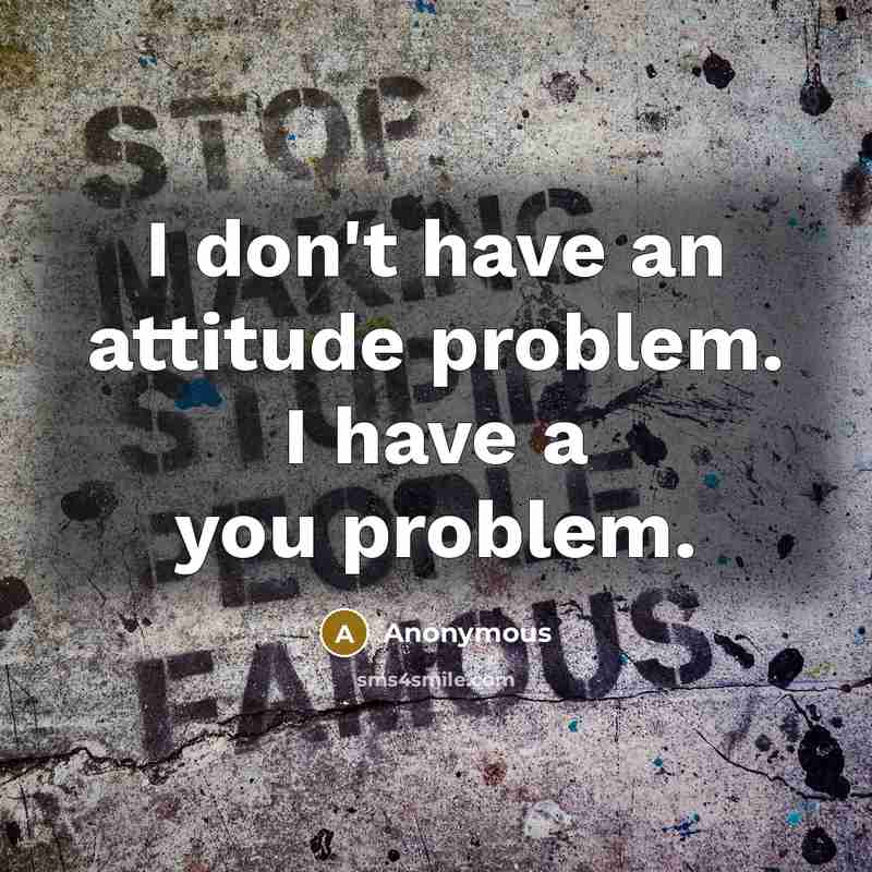“I don't have an attitude problem. I have a you problem.” quote by Anonymous