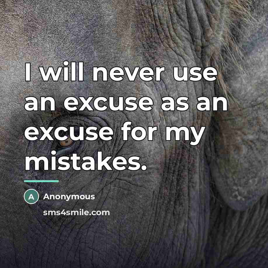 “I will never use an excuse as an excuse for…” quote by Anonymous