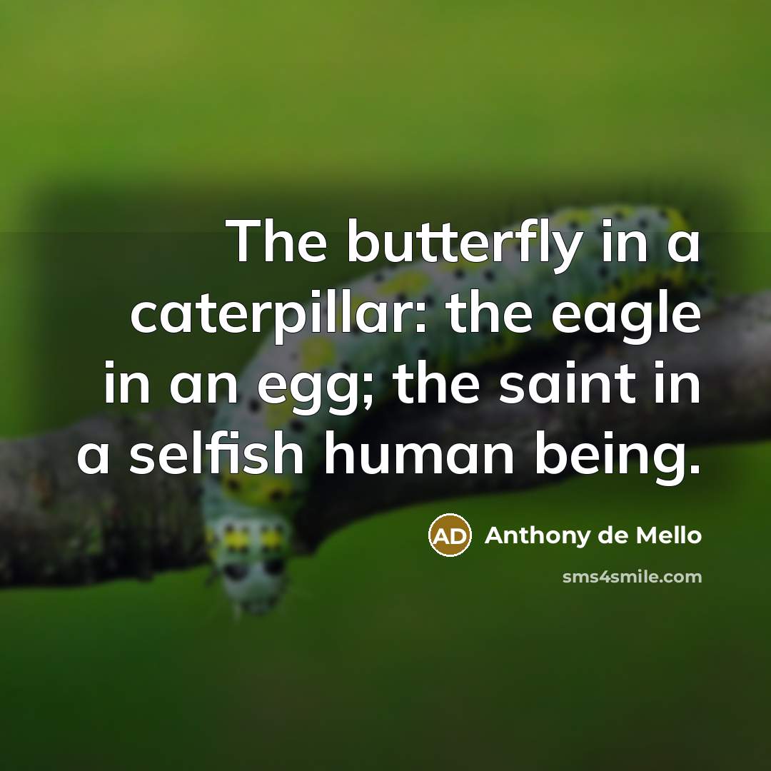 “The butterfly in a caterpillar: the eagle in an egg;…” quote by Anthony de Mello