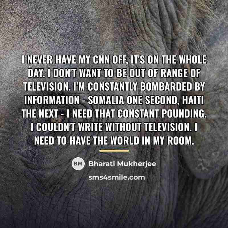 “I never have my CNN off, it's on the whole…” quote by Bharati Mukherjee