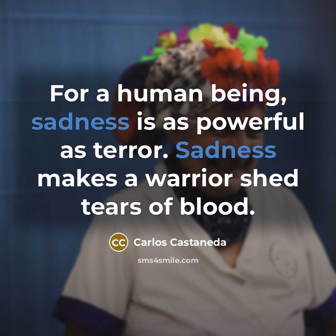 “For a human being, sadness is as powerful as terror.…” quote by Carlos Castaneda