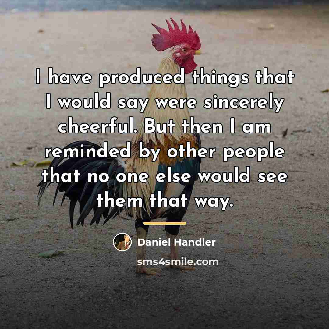 “I have produced things that I would say were sincerely…” quote by Daniel Handler