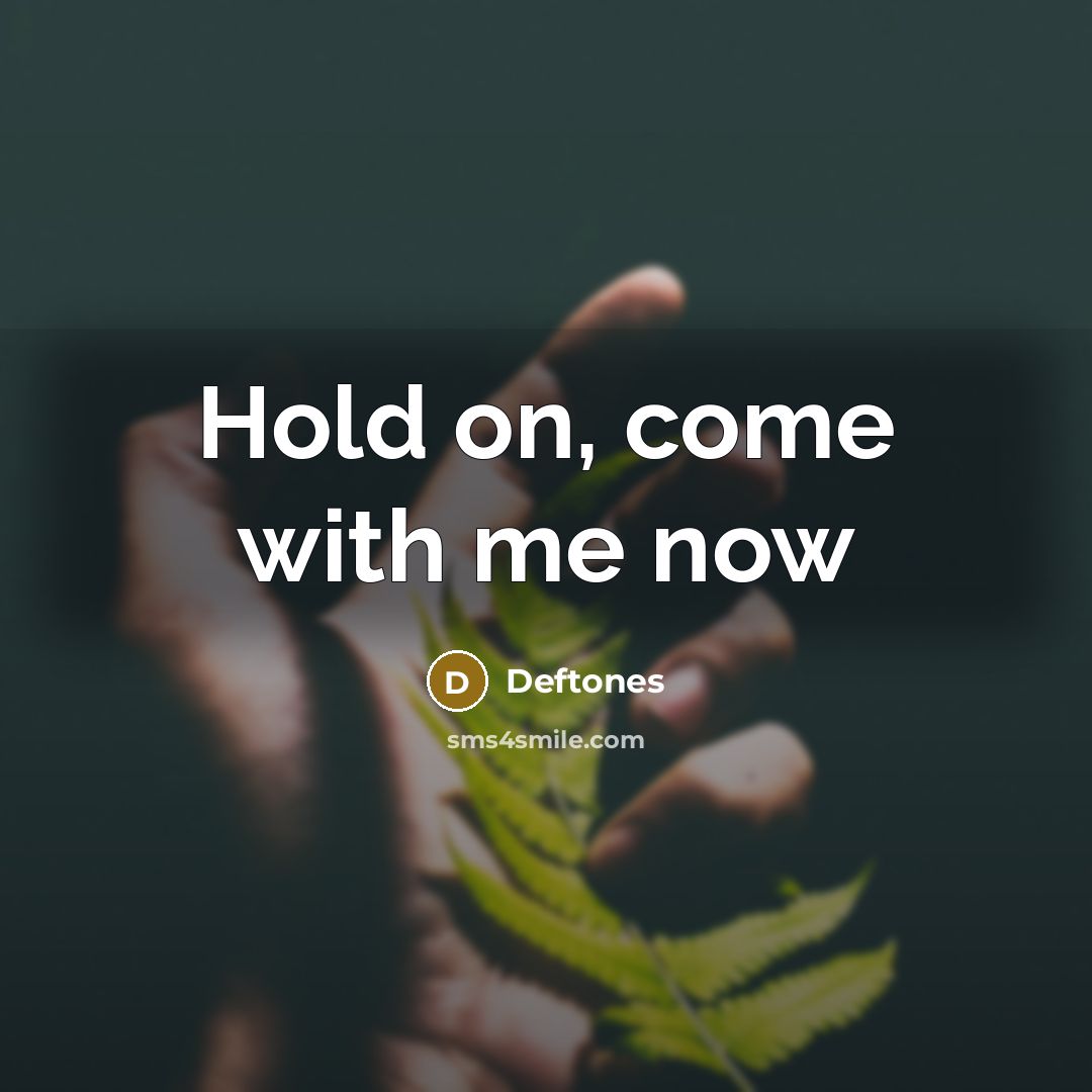 “Hold on, come with me now…” quote by Deftones