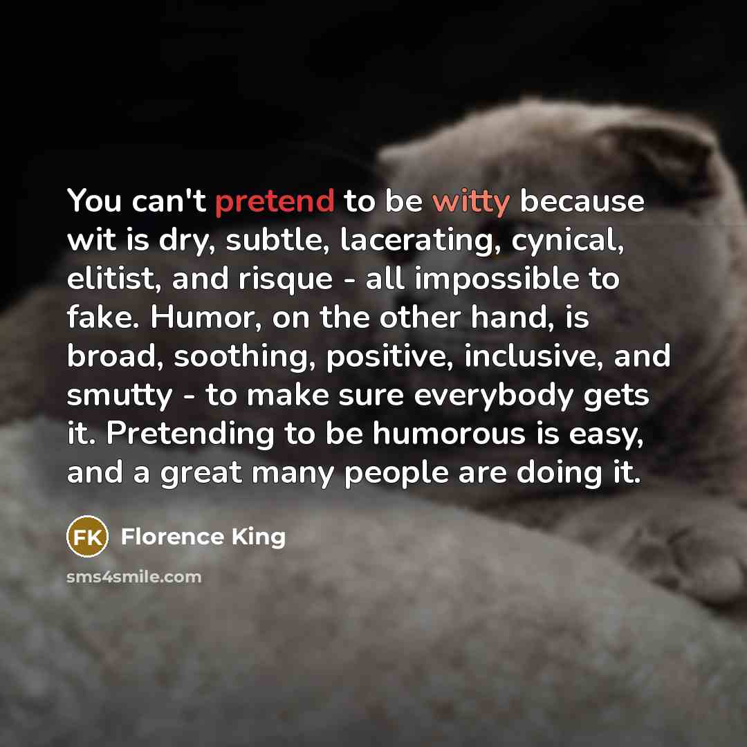 “You can't pretend to be witty because wit is dry,…” quote by Florence King