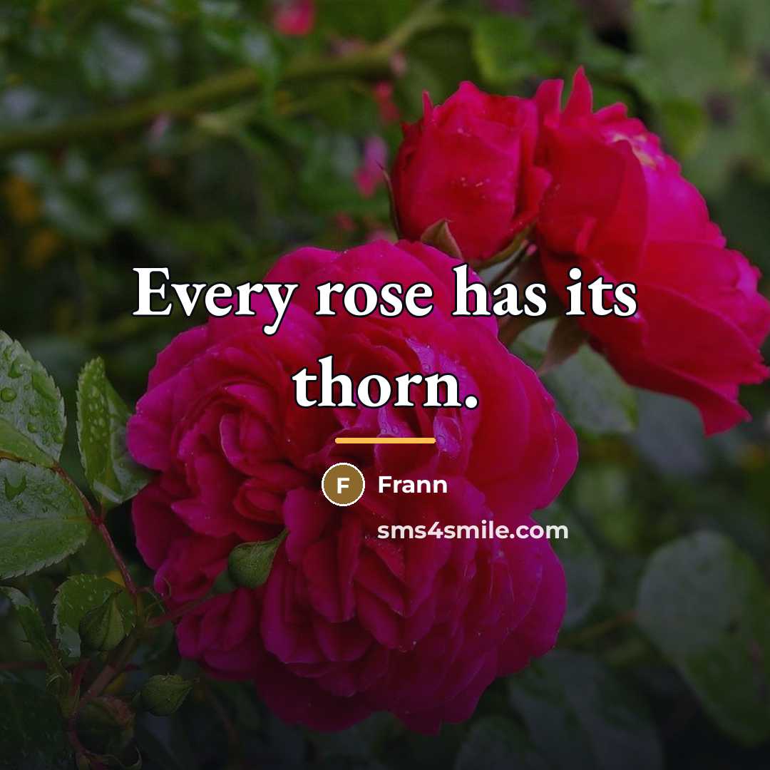 “Every rose has its thorn.…” quote by Frann